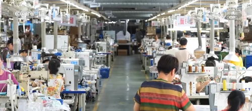 从产品出海到品牌出海 经济跨越的机遇与活力——新材料技术推广服务背后的时代命题